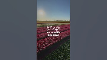 إسلام صبحي سورة الانبياء اجمل حالات واتس اب دينية 🎧😌