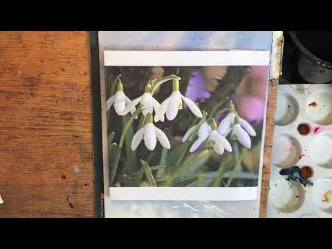 Watercolour Snowdrops Time-lapse part 2 (of 2). Removing masking fluid and painting the plants.