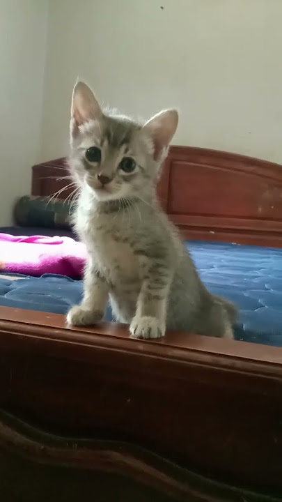 Gabut syahdu