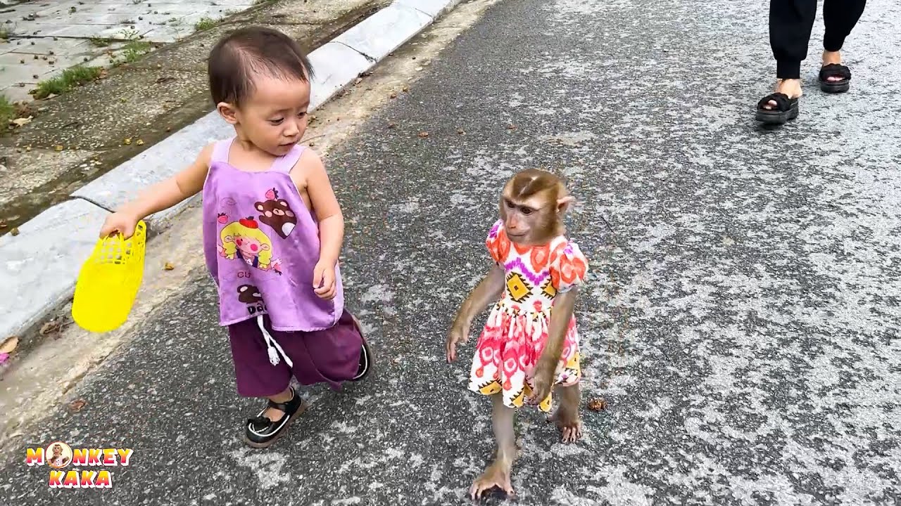 Cake Shopping with Monkey Kaka and Diem: A Sweet Family Day