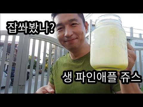 건강에 좋은 파인애플 쥬스. (Pineapple juice)