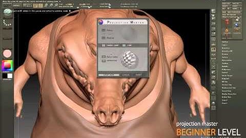 Projection Master in Zbrush4