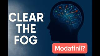 Modafinil: The MS Fatigue Drug That Clears the Fog 🧠 #MS #Modafinil #Nootropics