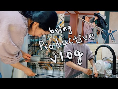 🌱239 <strong>ENG</strong> Vlog I 게임 중독 탈피 브이로그 I putting my <strong>life</strong> back together I 김갈릭