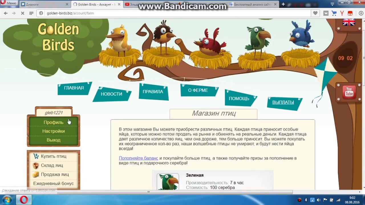 Gold bird s. Голден бёрдс. Игры с выводом денег про птиц. Игра с выводом денег без вложений Babl. Golden oligarch игра с выводом денег.