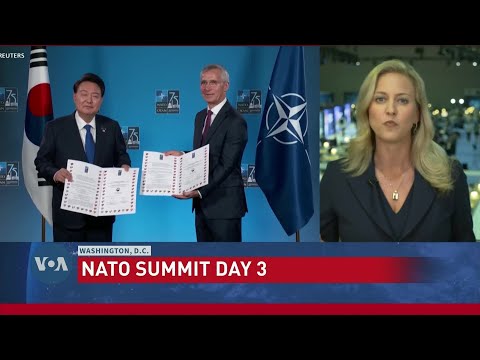 NATO allies pledge