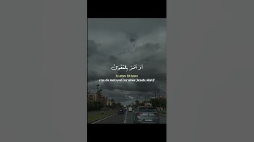 تلاوة هادئة #اكسبلور #اكسبلورهاشتاقات #دويتو #المصحف #العظماء #تيك_توك #الرحمن #duet #القزابري