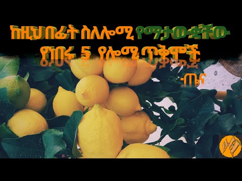 ቪዲዮ: በኒው ዚላንድ ውስጥ ስኪንግ የት አለ?