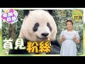 【on.cc東網】動物世界：旅日大熊貓返四川　聽日文呼喚無反應