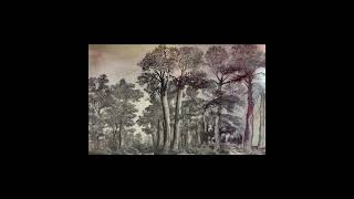 Frame interpolation through RunwayML Infinite Image feature: Natural history style abstract trees