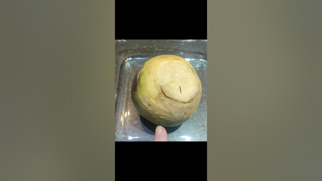 TURNIP /SWEDE IN THE MICROWAVE! The Perfect Swede/Turnip - YouTube