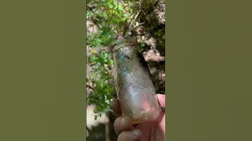 Bottle Dump Digging with Laura for Rare Milk Bottles Jars, Relics Sexy Legs Treasure Hunting #shorts