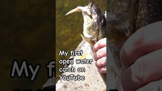 Big Walleye Caught While Shore Fishing at Pigeon Lake Alberta
Heres a throwback to the first ever open water fishing that I caught in one of my YouTube videos.
This clip was filmed several years ago at Pigeon Lake, Alberta, Canada while fishing with pickerel rigs and minnows.
If you like this old clip, be sure to SUBSCRIBE for more fishing and outdoor adventures.
#fishing #Alberta #Walleye #outdoors #shorts Big Walleye Caught While Shore Fishing at Pigeon Lake Alberta