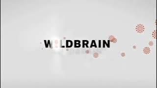 WildBrain Logo (2007-2016)