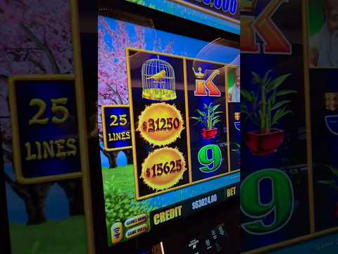 Verde Online Casino Test | Die besten online Casinos 馃幇馃幉馃幇