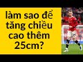 làm sao để tăng chiều cao thêm 25cm trong 18 tháng như Scott Mctominay| cách tăng chiều cao hiệu quả