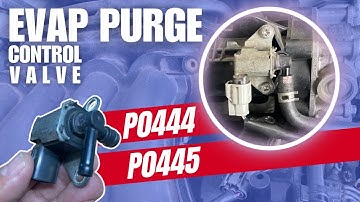 Test & Fix EVAP Purge Control Valve | P0444 | P0445 | Canister Purge Control Valve Diagnosis