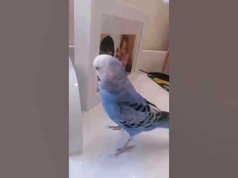 anneyi öp - YouTube