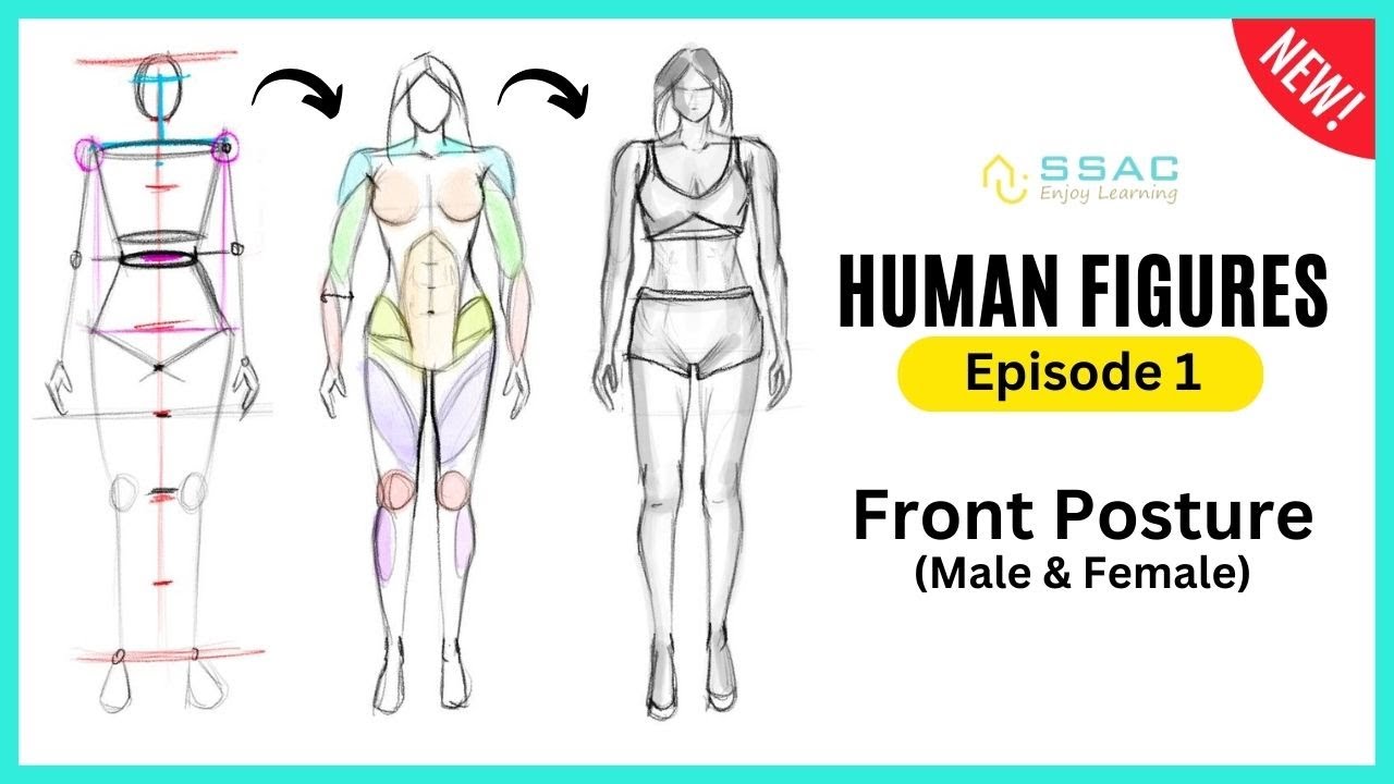 NID/NIFT/UCEED Drawing Preparation | Human Front Posture | Episode 1 ...