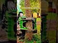 Hydraulic Tree Shear with Grapple | Safe &amp; Powerful Tree Cutting Tool.