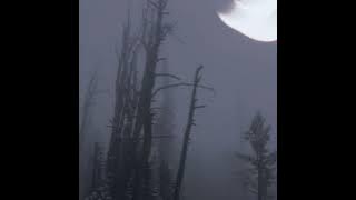 Rowsandrose - Winters (full album)