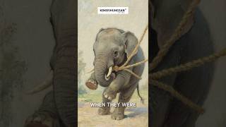 The Elephant and the Rope 🐘 Breaking Free from Limiting Beliefs | Wisdom in 30 Seconds #Shorts