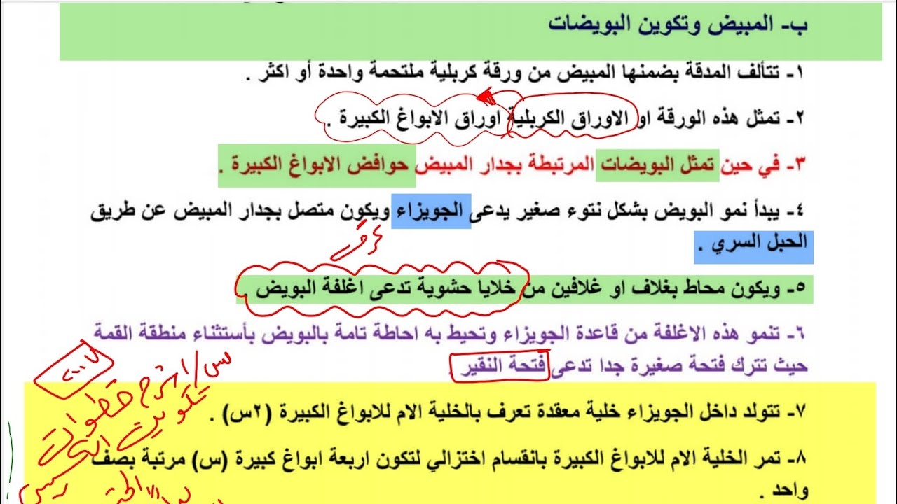 المبيض وتكوين البويضات/ محاضرة 13/احياء سادس علمي2024/ نور باجلان