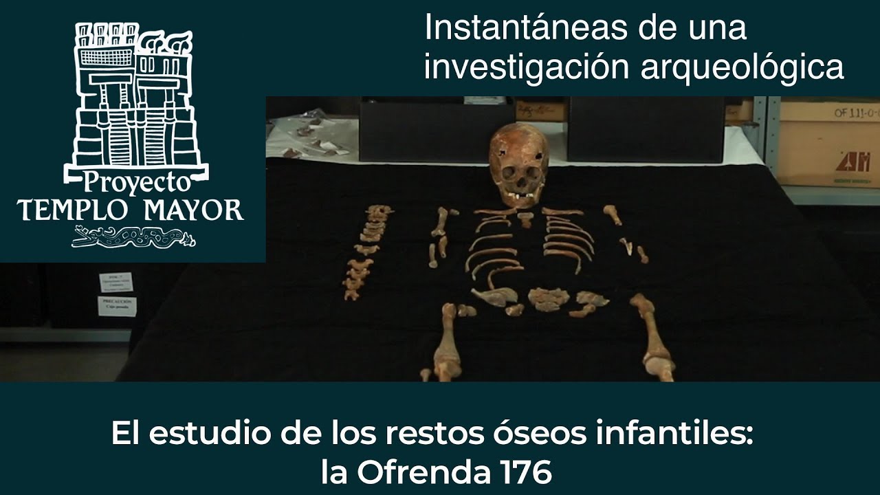 zonasinhunter El estudio de los restos óseos infantiles la Ofrenda 176