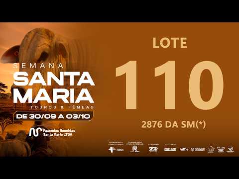 LOTE 110 FSM A2876