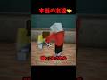 本当の友達とは…#マイクラ #short