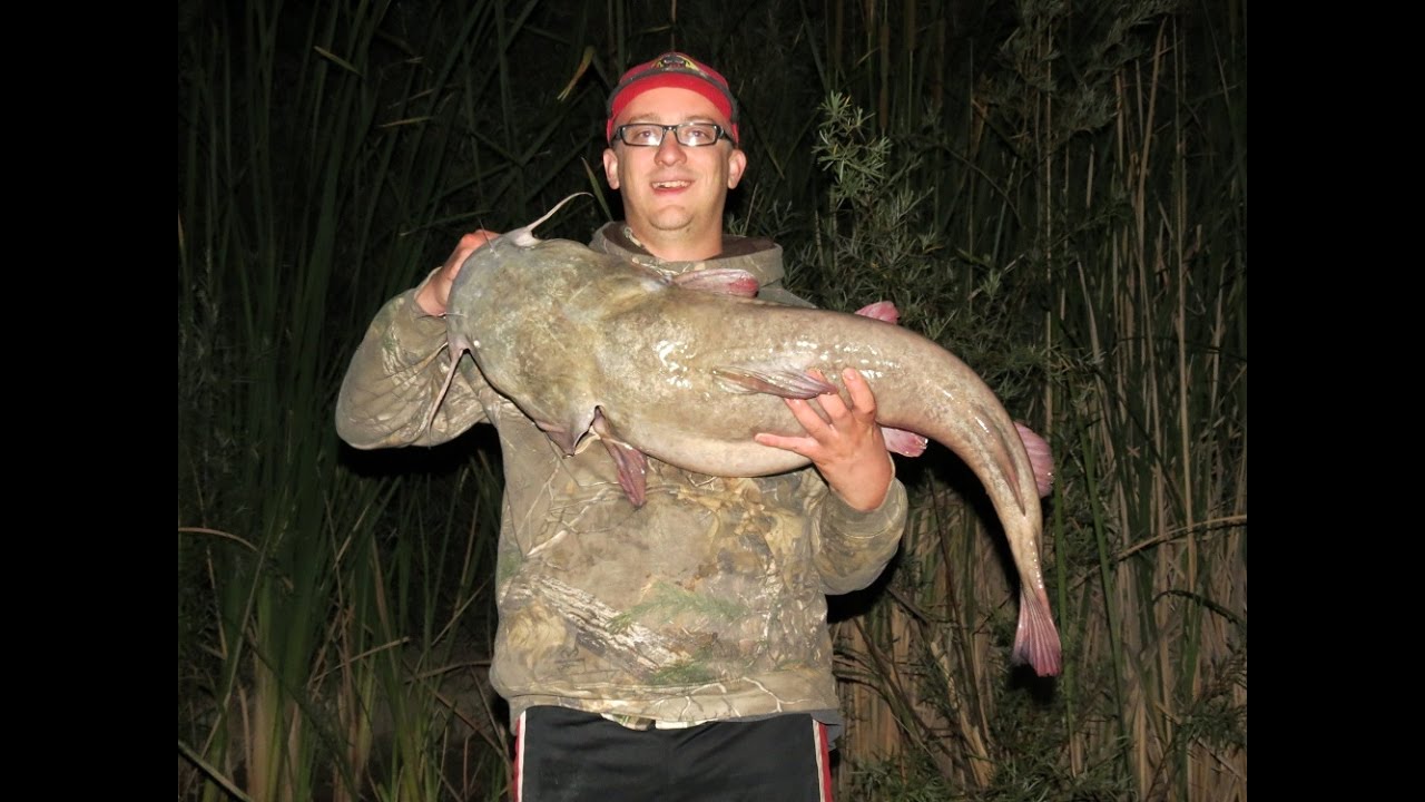 Full Moon Fishing For Flatheads YouTube full-moon-fishing-for-flatheads-youtube