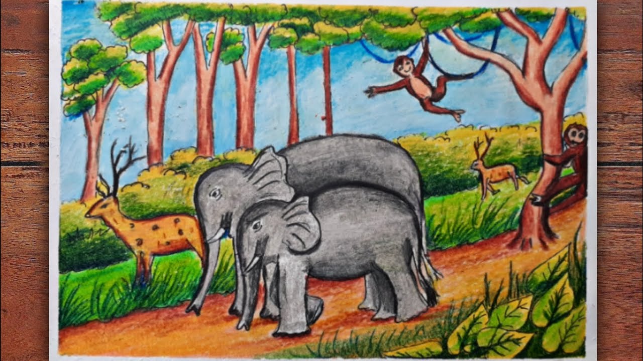 Forest scene with various wild animals - Stock Illustration [92794653] -  PIXTA