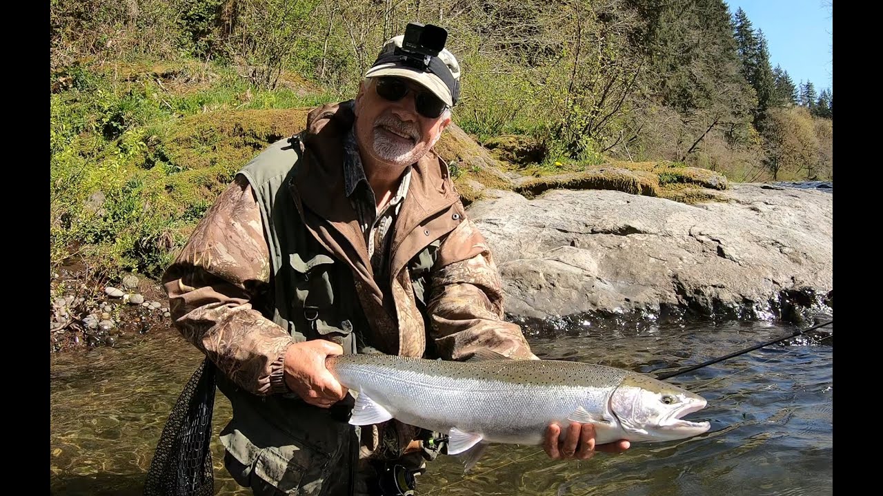 Steelhead ,Oregon Coast YouTube