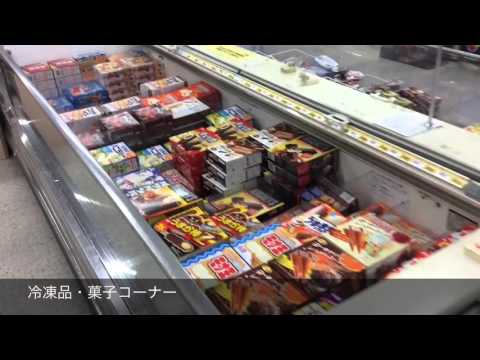 ドッグメディカル 越谷動物医療センター 越谷市 の周辺施設動画一覧 1ページ