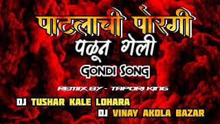 पाटलाची पोरगी पळून गेली x Mahol Naccho Mix x Dj Tushar Kale Lohara & @djvinayakolabazar4370