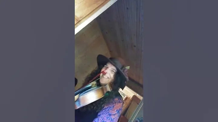 Me Fiddlin Around Terry Ann Gillette