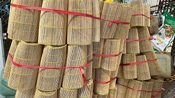 Bán Lợp Tép, Cá Bóng Dừa Loại Nhất Cho Anh Em Chuẩn Bị Đón Lũ Về