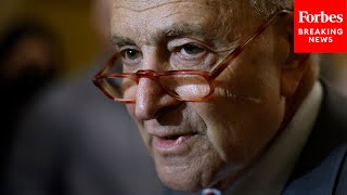 Schumer Discusses Likelihood Of Government Shutdown After McCarthy Ousted From US Speaker Role