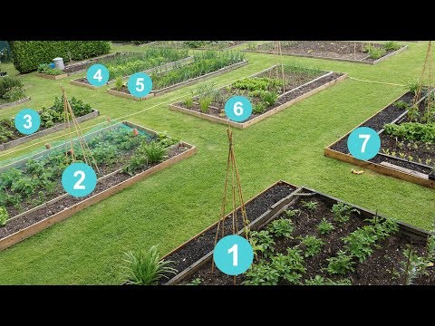 Videó: Növények A Kezdő Kertész Számára. Könnyen Termeszthető Zöldségek