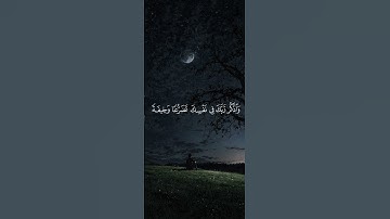 (وإذا قرء القرآن فاستمعوا له وأنصتوا) القارئ (ياسر الدوسري) سورة الأعراف❤️