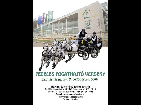 Szilvásvárad fogathajtó verseny 2019
