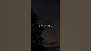 سورة نوح - الآيات 26-28 - تلاوة ماهر المعيقلي