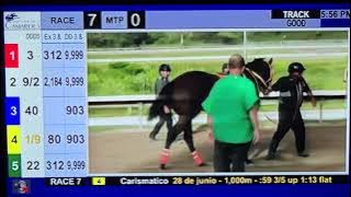 7ma. Carrera Hipódromo Camarero 🇵🇷 