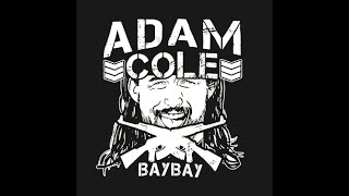 ADAM COLE BULLET CLUB BAY BAY THEME (CLEAN VERSION)