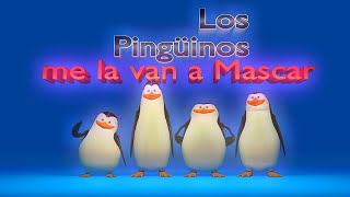 Los Pingüinos me la van a Mascar 😯 Resimi