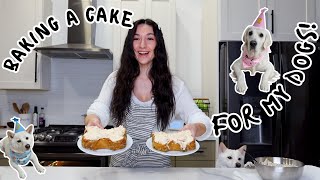 Cooking With Cailey Making A Birthday Cake For My Dogs
