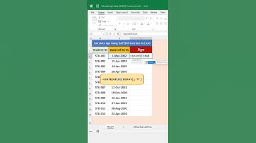 Calculate Age Using DATEDIF and TODAY Functions in Excel || Excel Tips & Trick || #excel #excelbasic