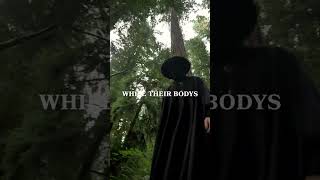 Track 510 On My New Album Santi Minogo Iii Kill My Vibe