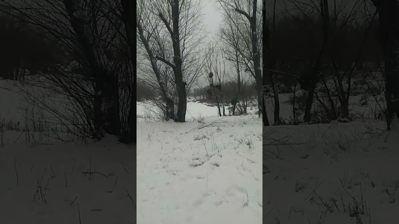 29.01.2026р-Синє озеро.Київ.Виноградар.ч.9