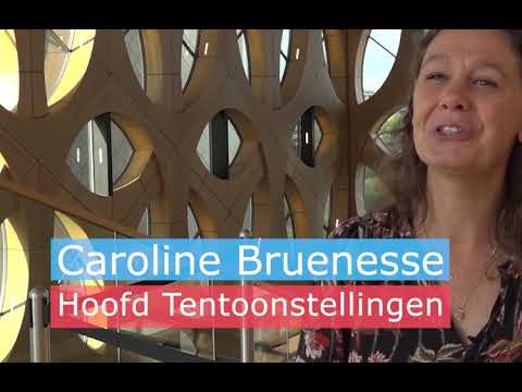 Video: Hoe Een Boekententoonstelling Te Regelen?